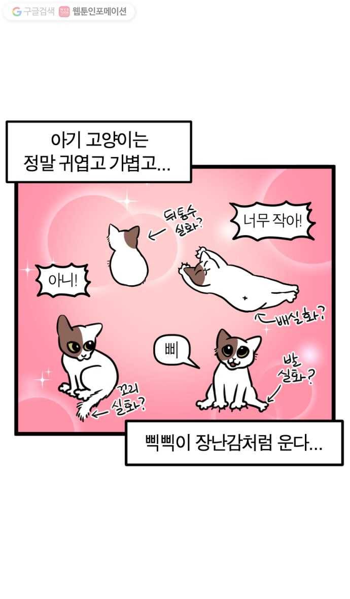 모죠의 일지 157화. 응애 아니에요 3