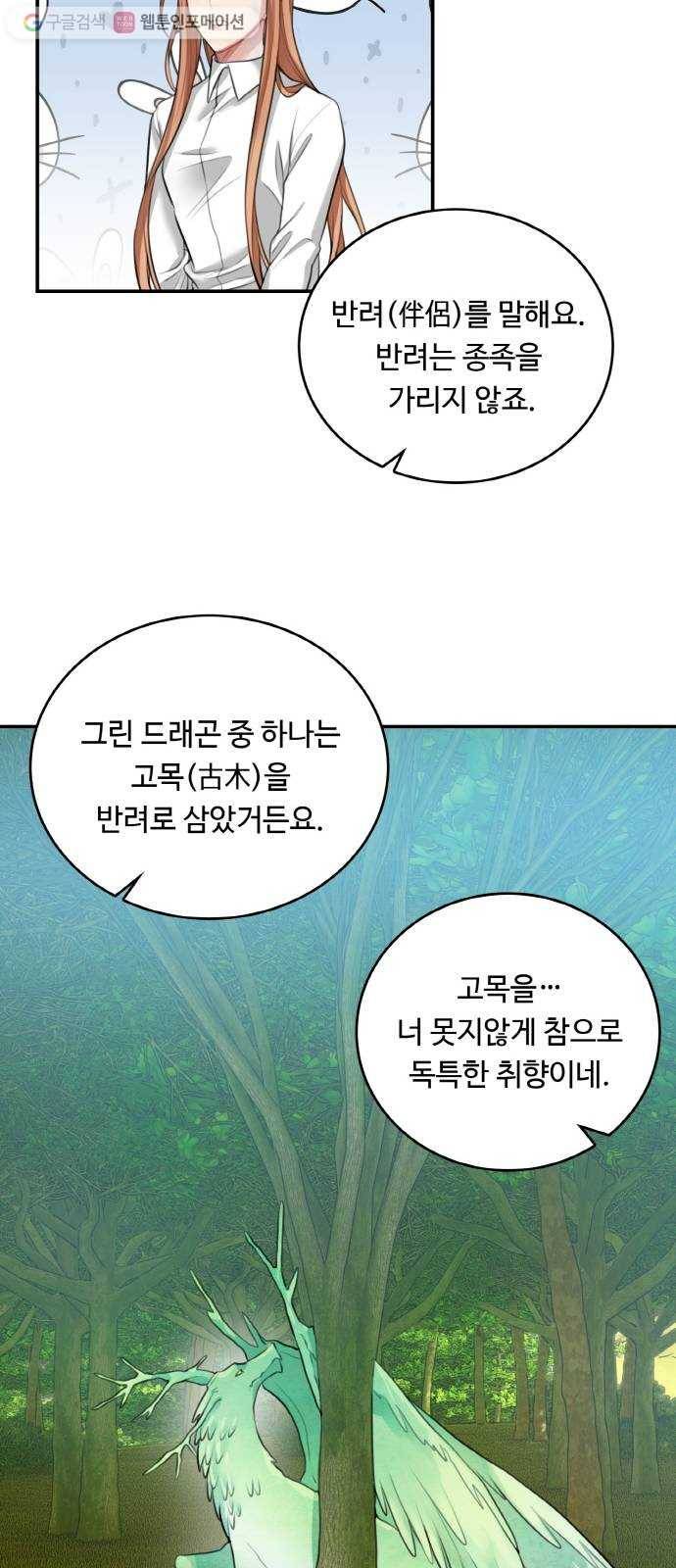 마녀와 용의 신혼일기 16화 56