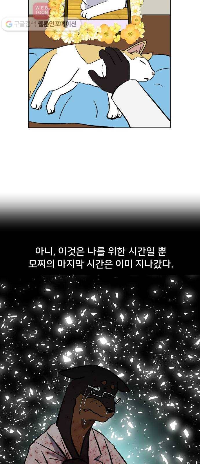 닥터앤닥터 육아일기 112. 반려동물 3 15