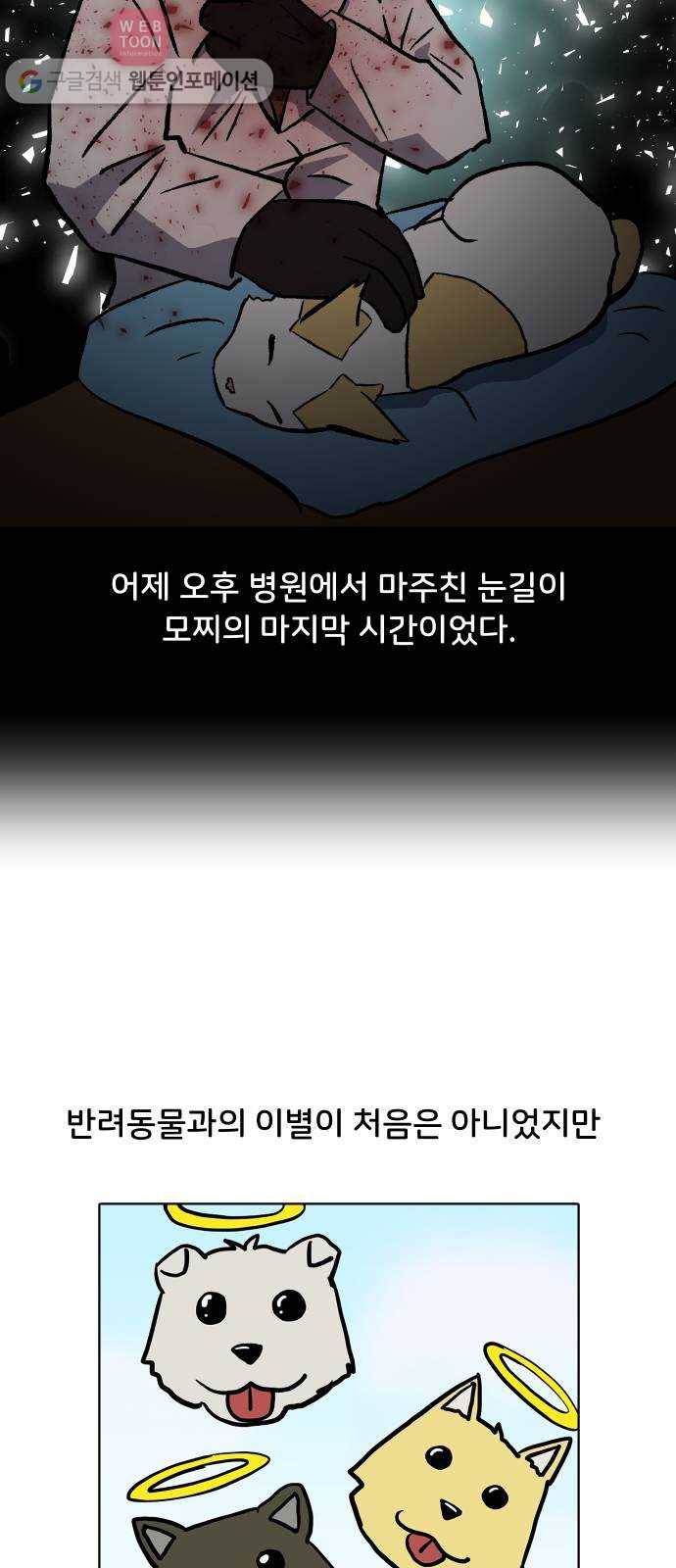 닥터앤닥터 육아일기 112. 반려동물 3 16