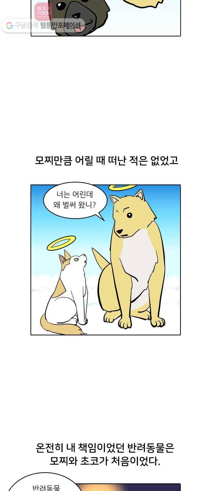 닥터앤닥터 육아일기 112. 반려동물 3 17