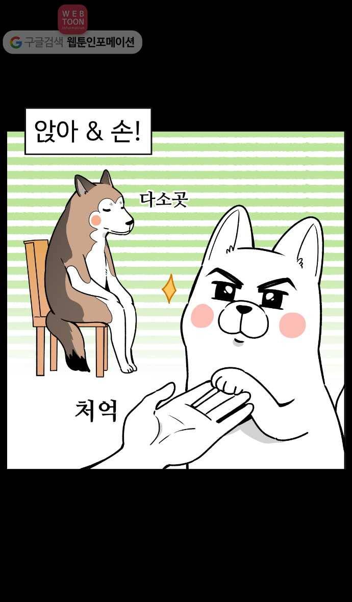 노곤하개 10화 멍멍이의 훈련! 3