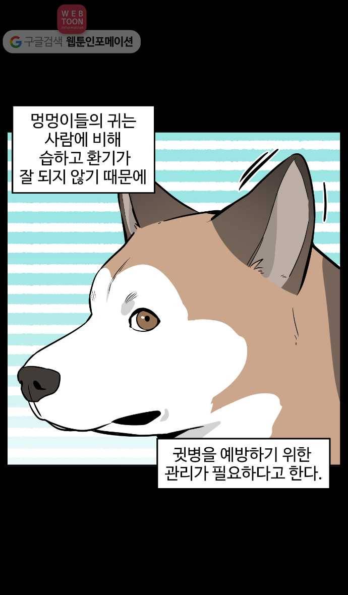 노곤하개 30화 멍멍이들의 우애 2