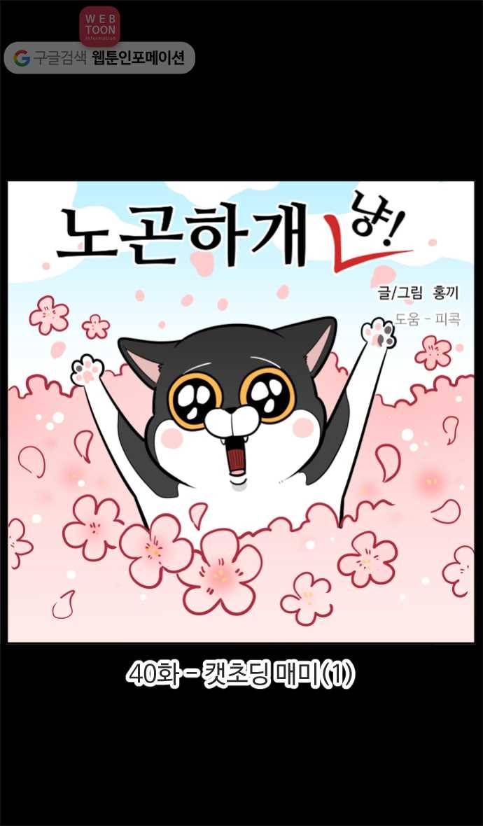 노곤하개 40화 캣초딩 매미(1) 1
