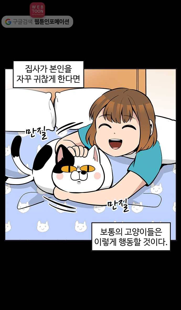 노곤하개 40화 캣초딩 매미(1) 3