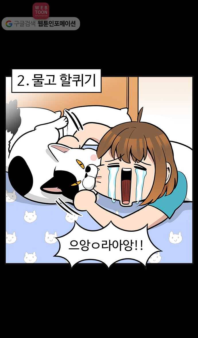 노곤하개 40화 캣초딩 매미(1) 5