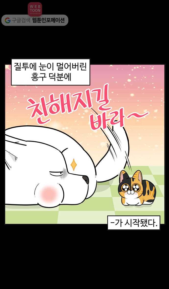 노곤하개 시즌2 13화 홍구와 줍줍이 친해지기 대작전 (2) 2
