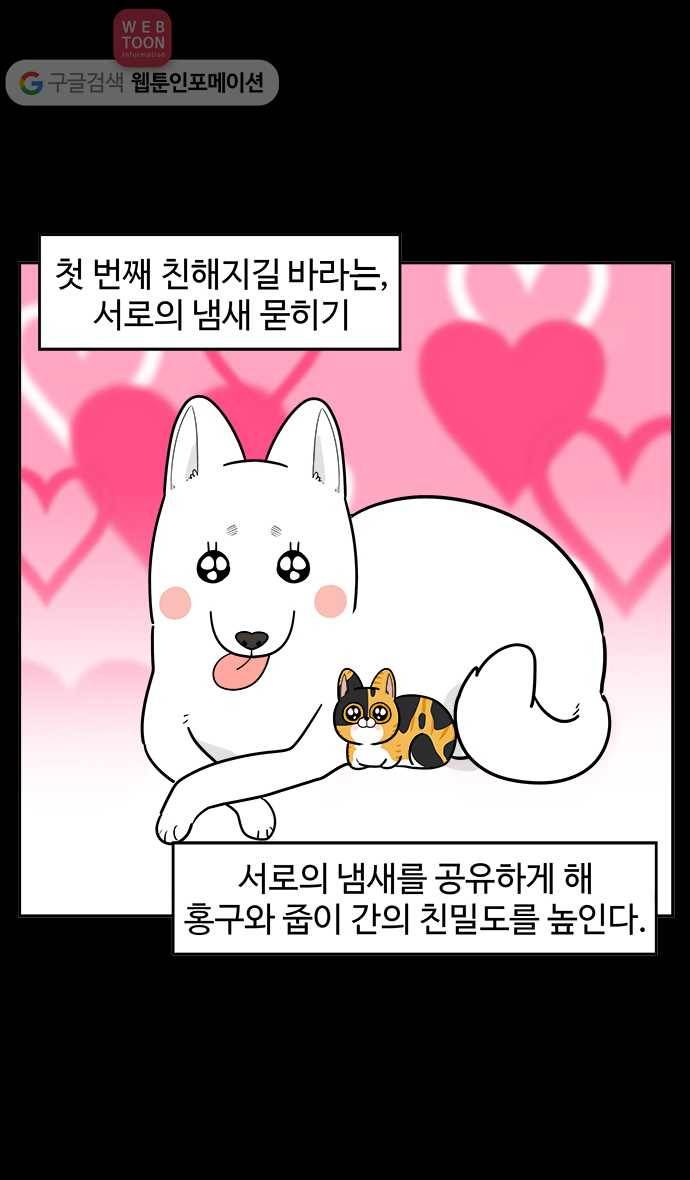 노곤하개 시즌2 13화 홍구와 줍줍이 친해지기 대작전 (2) 3
