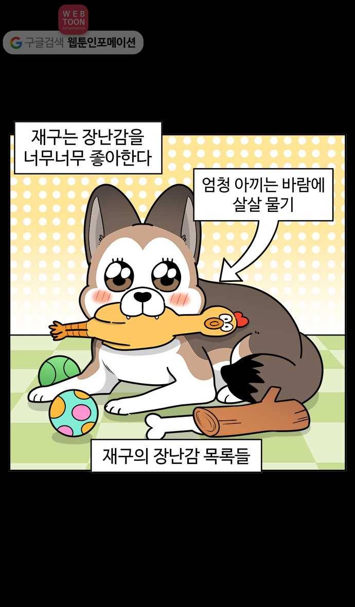 노곤하개 시즌2 50화 멍멍이와 장난감 2