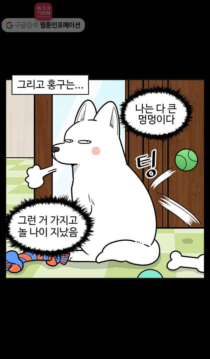 노곤하개 시즌2 50화 멍멍이와 장난감 3