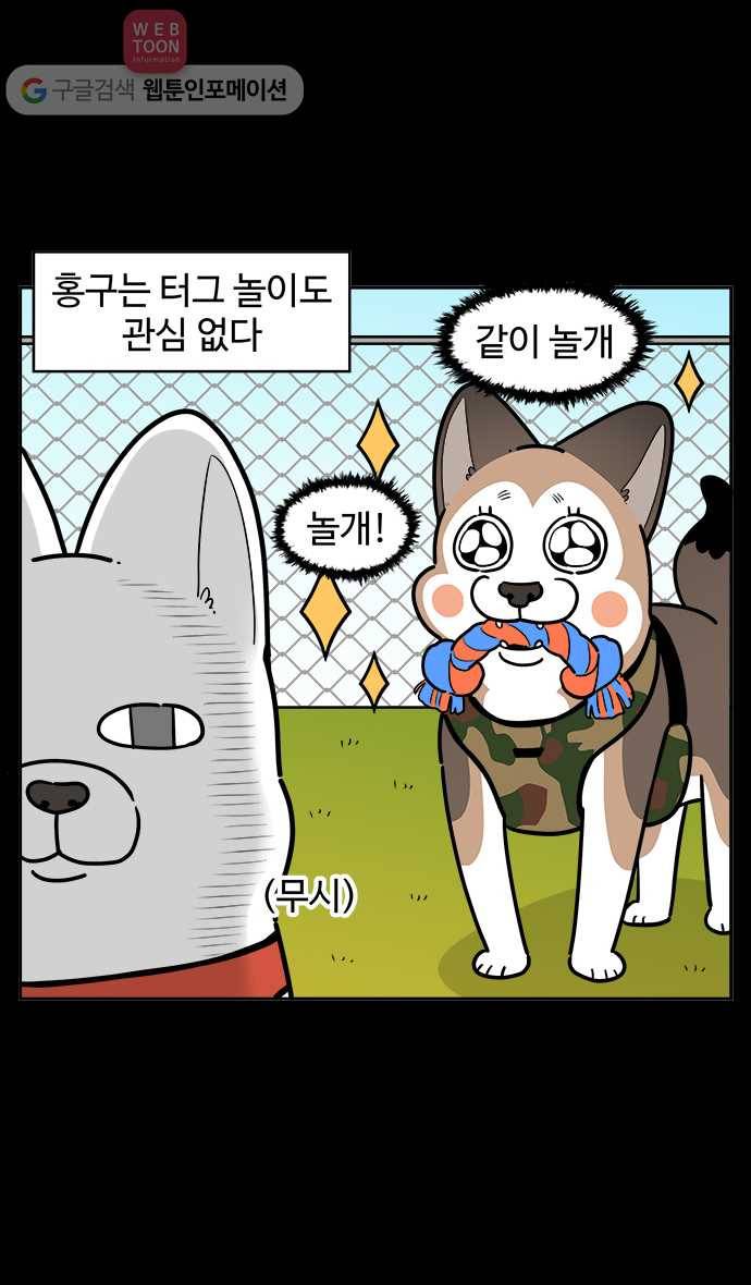 노곤하개 시즌2 50화 멍멍이와 장난감 13