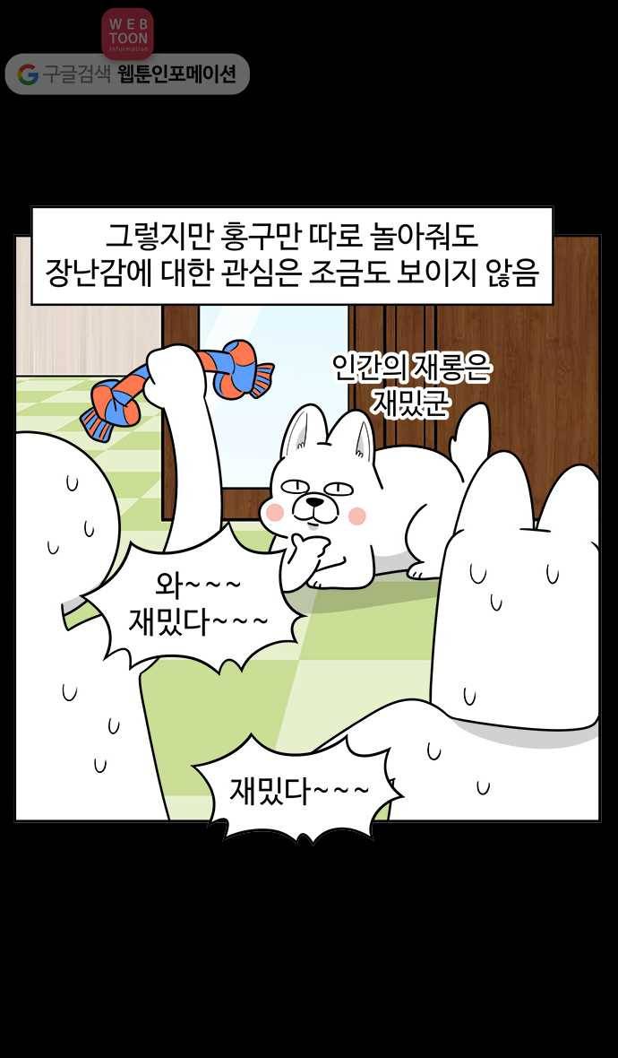 노곤하개 시즌2 50화 멍멍이와 장난감 17