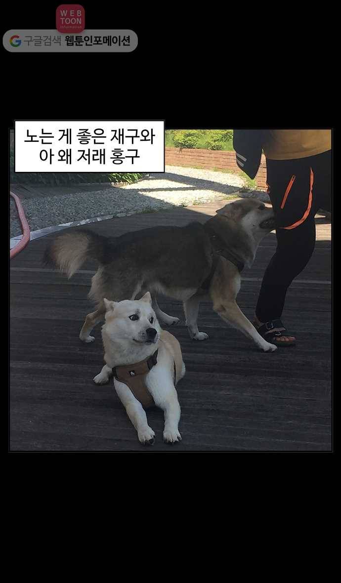 노곤하개 시즌2 50화 멍멍이와 장난감 23