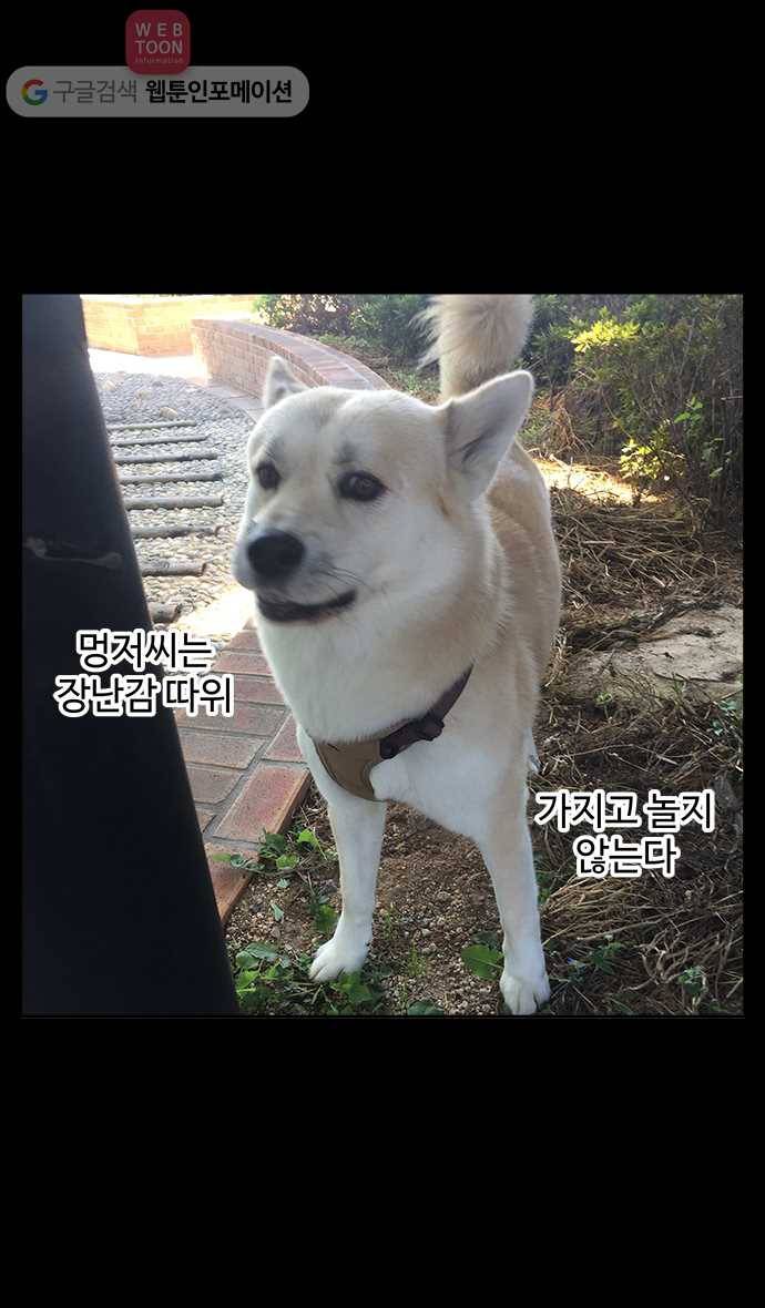 노곤하개 시즌2 50화 멍멍이와 장난감 24