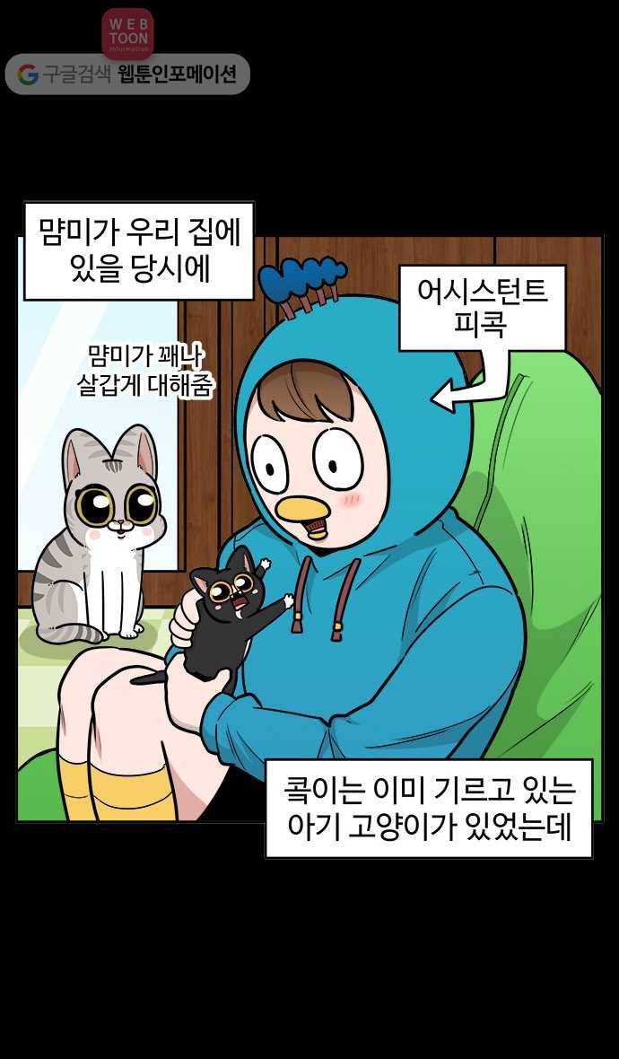 노곤하개 시즌2 62화 삐용이가 놀러왔다 2