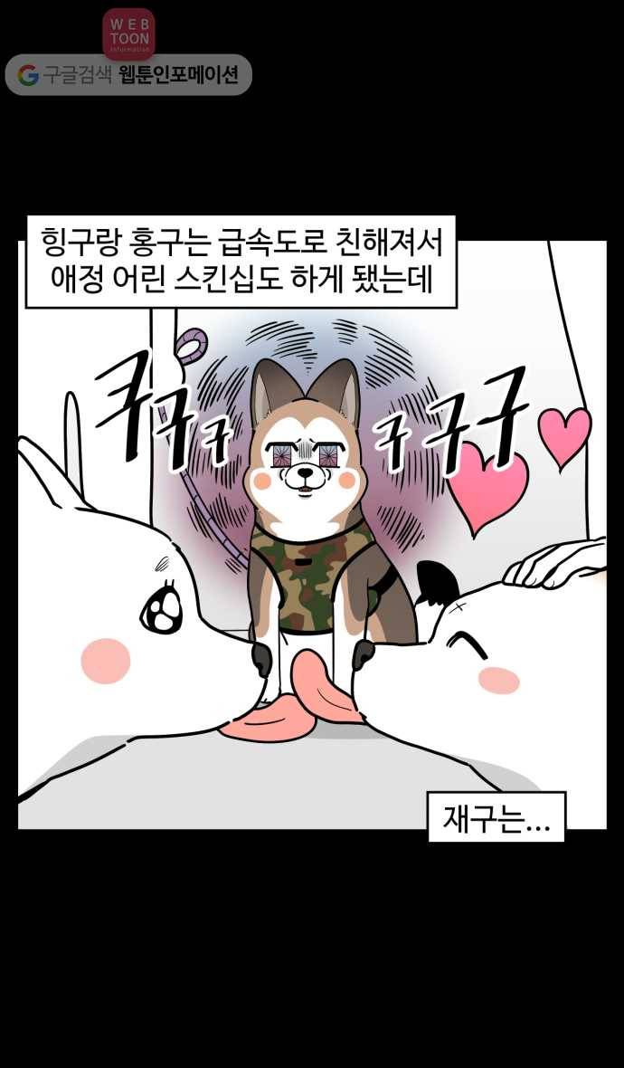 노곤하개 시즌2 68화 유기견 힝구 (4) 2