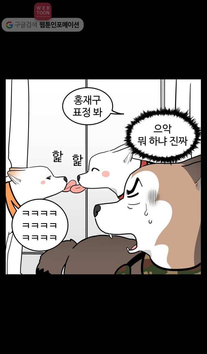 노곤하개 시즌2 68화 유기견 힝구 (4) 3