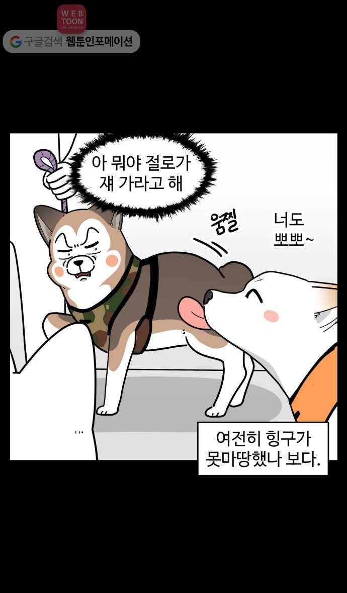 노곤하개 시즌2 68화 유기견 힝구 (4) 4