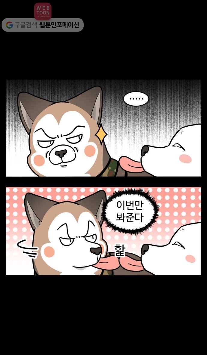 노곤하개 시즌2 68화 유기견 힝구 (4) 6
