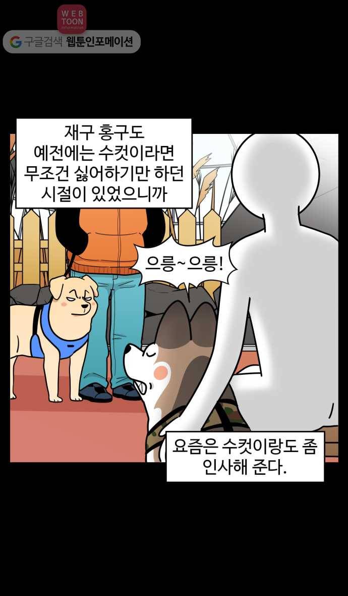 노곤하개 시즌2 68화 유기견 힝구 (4) 9