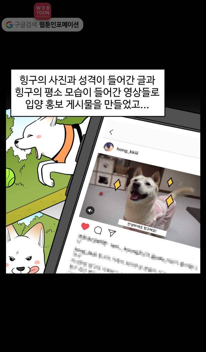 노곤하개 시즌2 68화 유기견 힝구 (4) 12