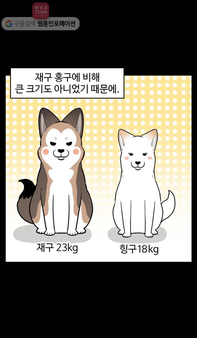 노곤하개 시즌2 68화 유기견 힝구 (4) 14