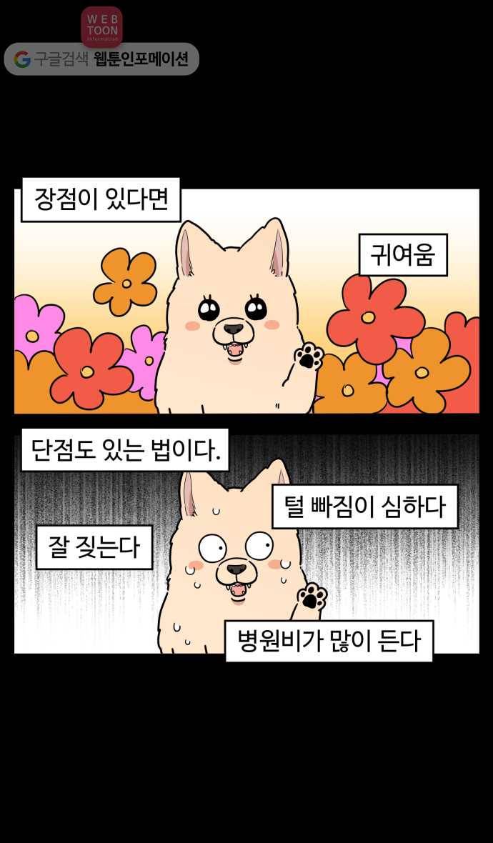 노곤하개 시즌2 68화 유기견 힝구 (4) 19