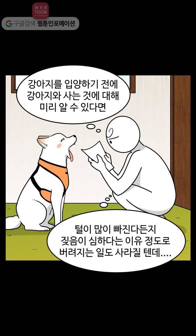 노곤하개 시즌2 68화 유기견 힝구 (4) 20