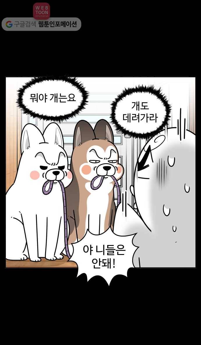 노곤하개 시즌3 3화 낚시터 고양이들(1) 3