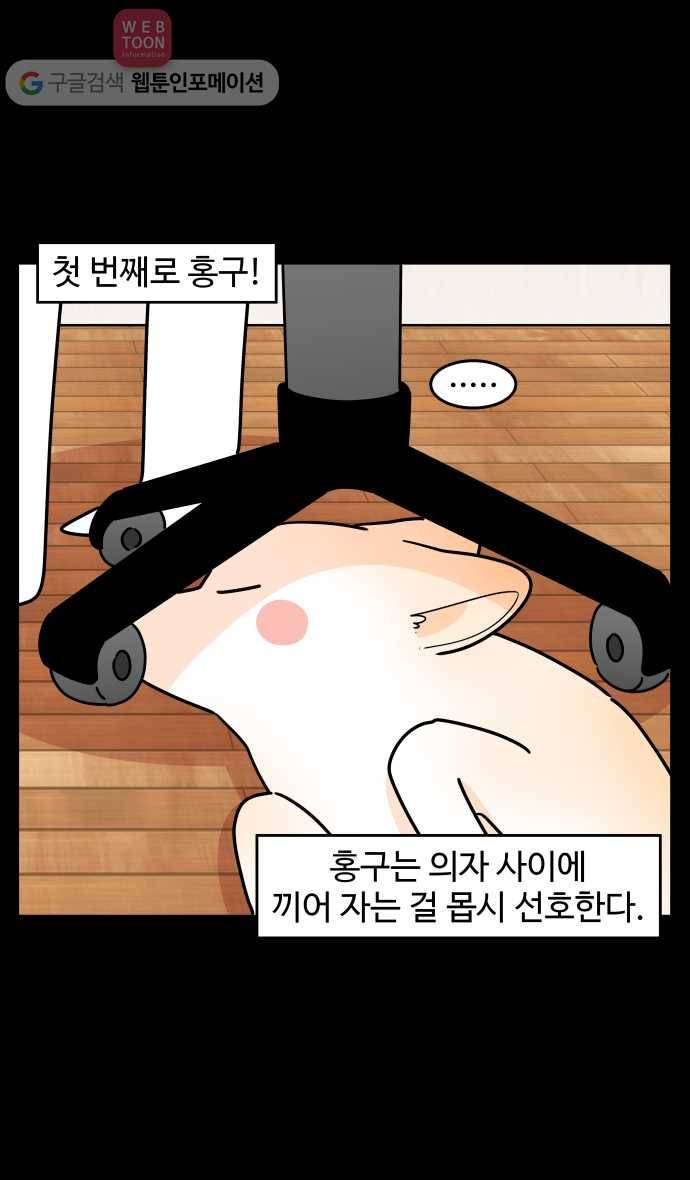 노곤하개 시즌3 13화 멍냥이들의 작업 방해하기 4