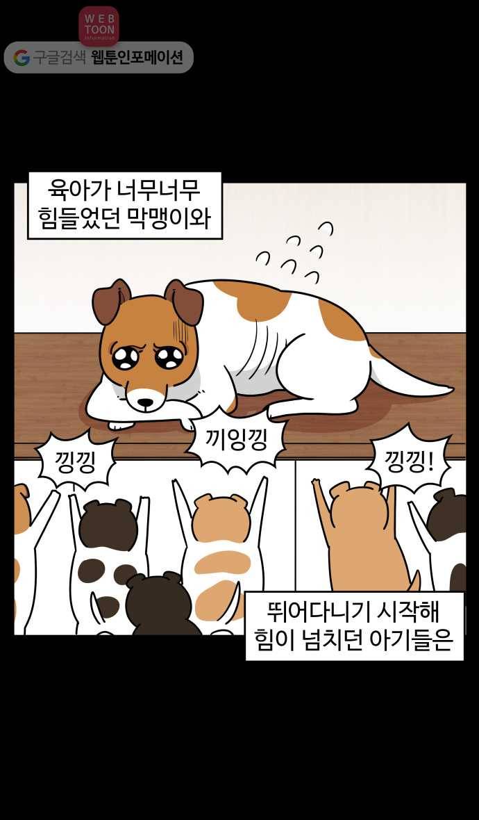 노곤하개 시즌3 23화 육아일기 (1) 2