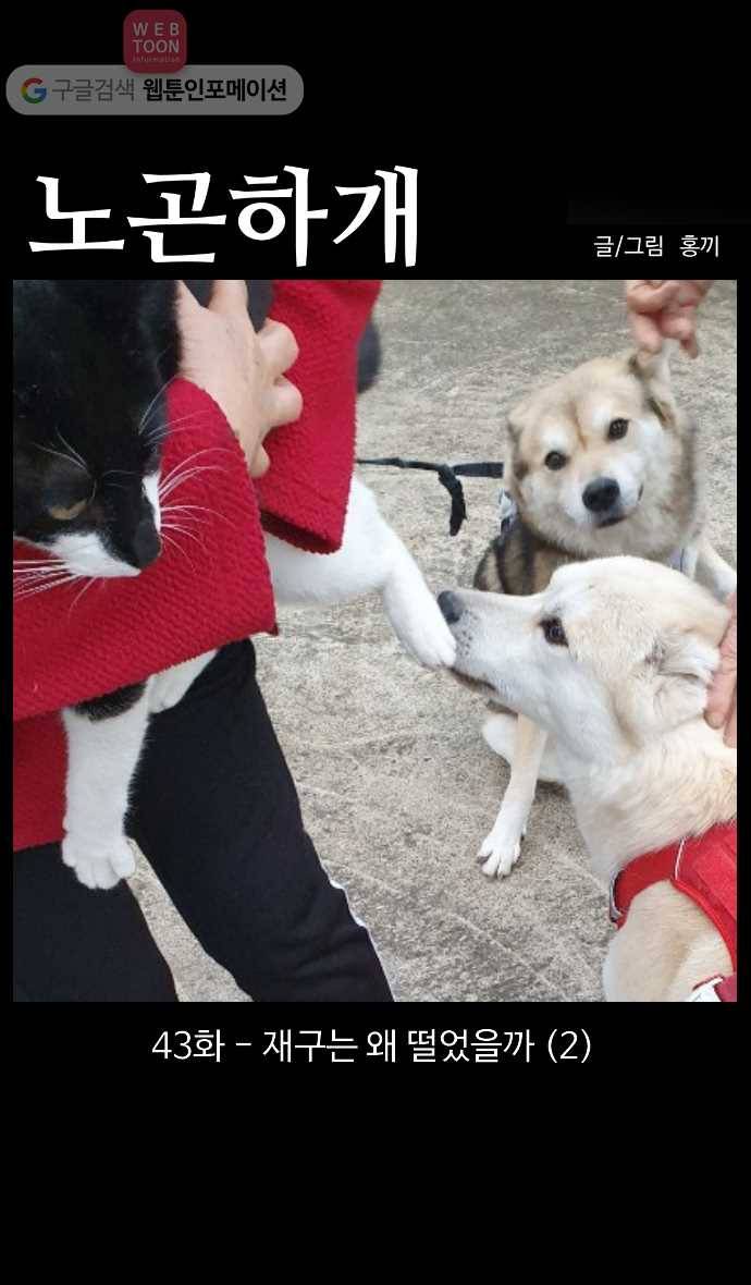 노곤하개 시즌3 43화 재구는 왜 떨었을까 (2) 1
