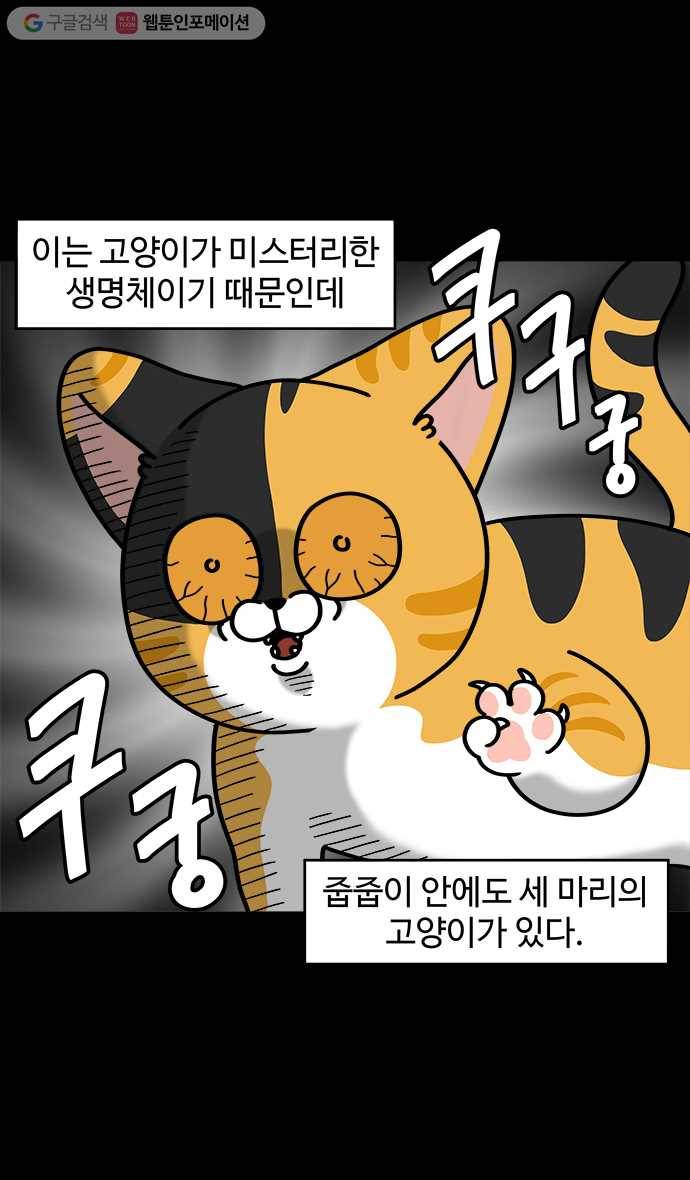 노곤하개 시즌4 10화 고양이의 미스테리 (1) 3