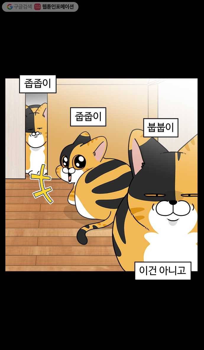 노곤하개 시즌4 10화 고양이의 미스테리 (1) 4