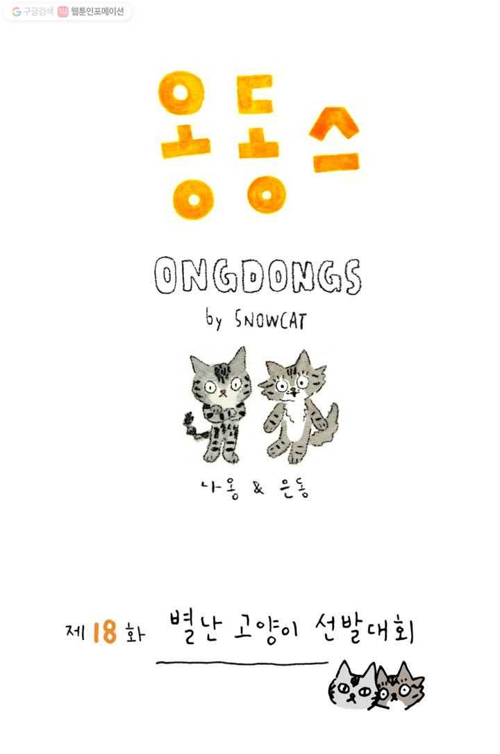 은동은동+옹동스 18화. 별난 고양이 선발대회 1