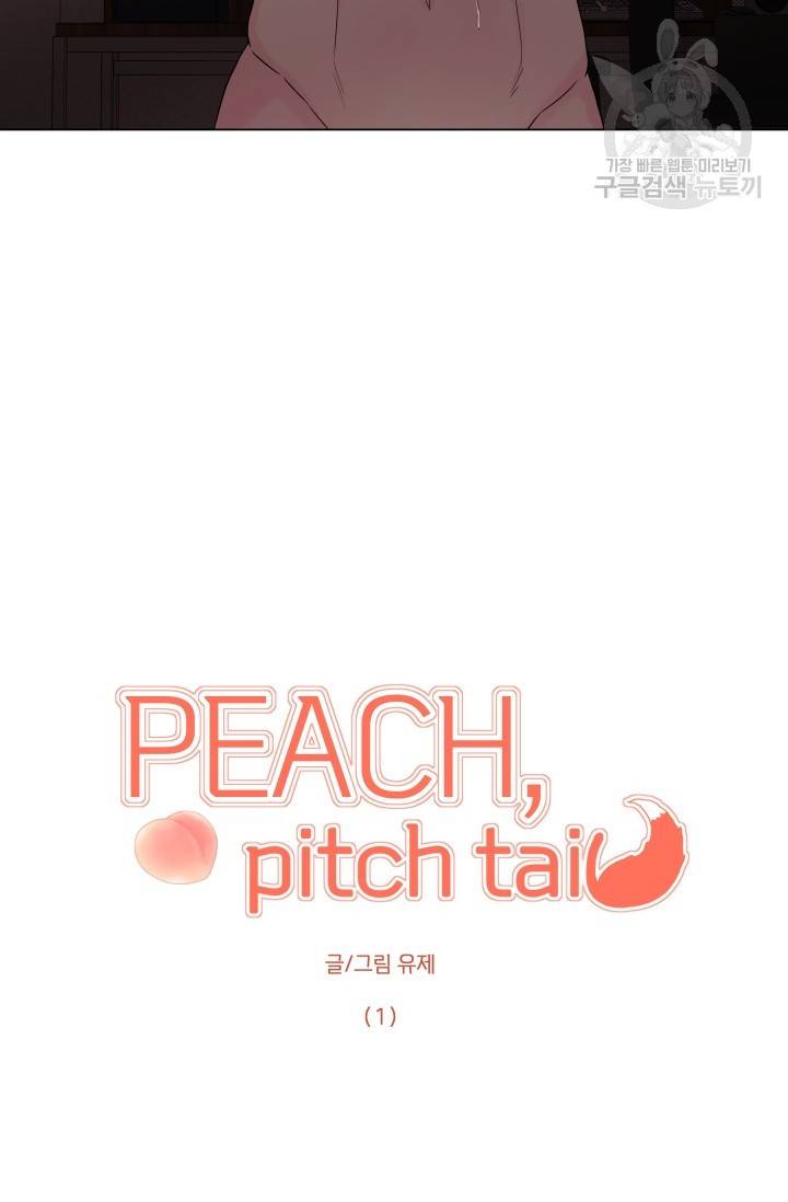 에로틱 토이 어택 유제 작가 피치, 핏치 테일 (1) 9