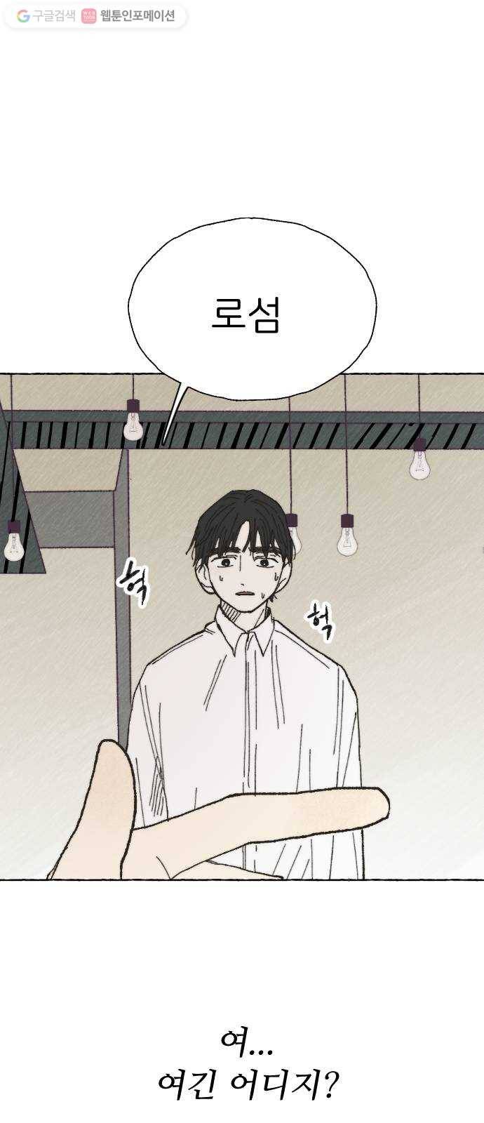 누군가의 로섬 21. 로섬 47