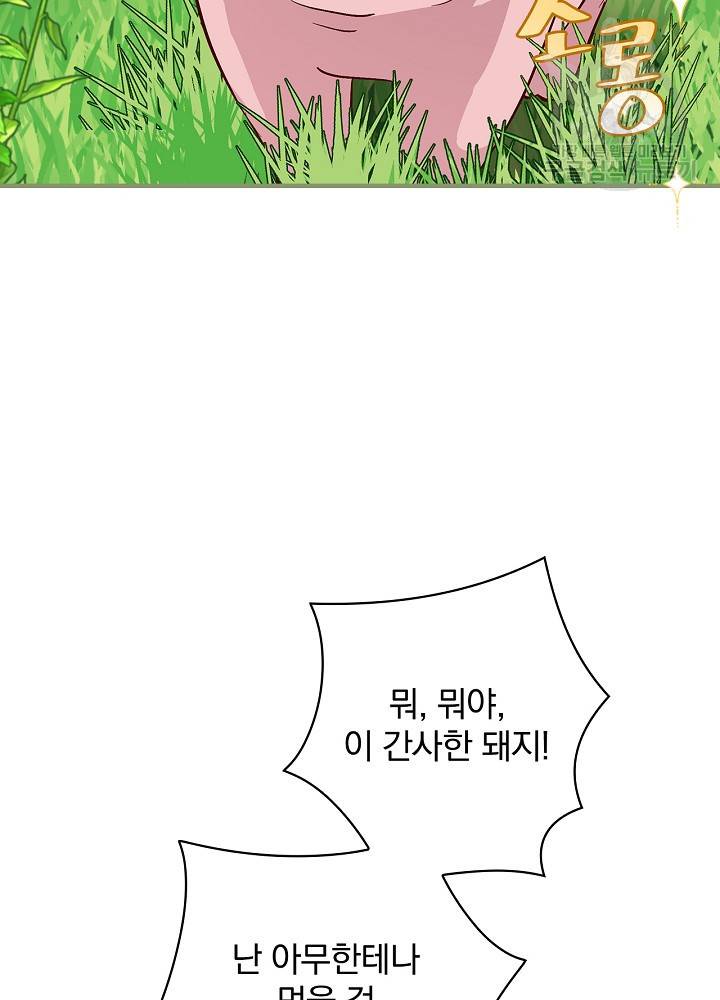 밥만 먹고 레벨업 55화 69