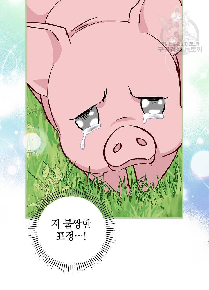 밥만 먹고 레벨업 55화 71