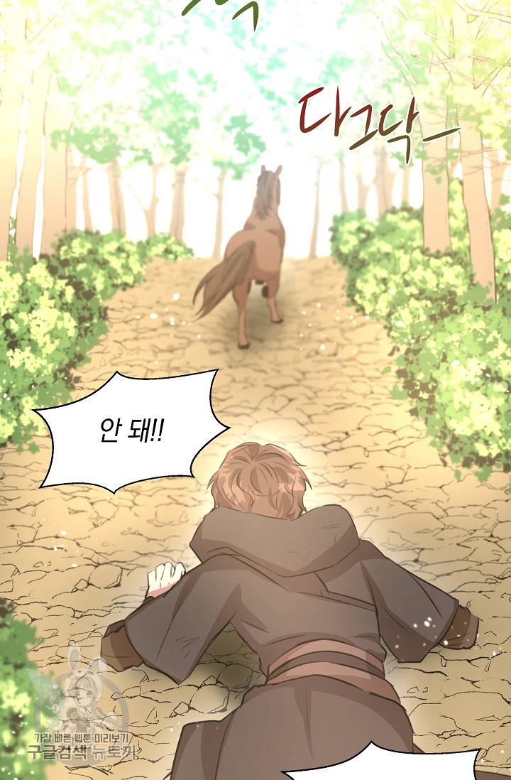 황금숲 16화 46
