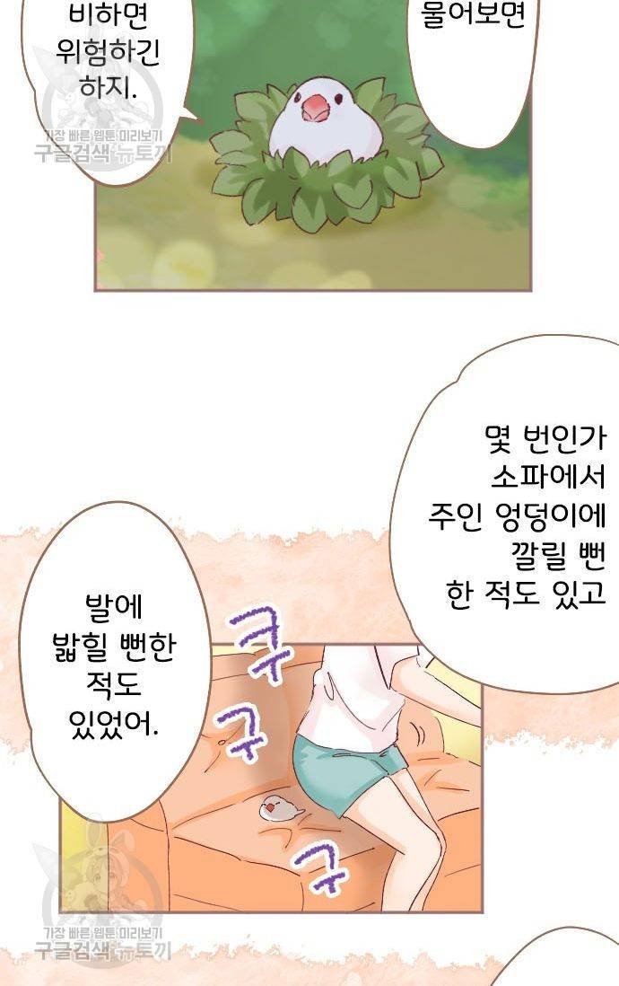 냠냠토끼 74화 9