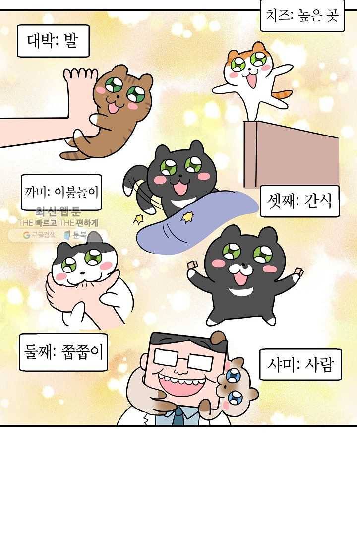 넘 많은 고양! 054화 2