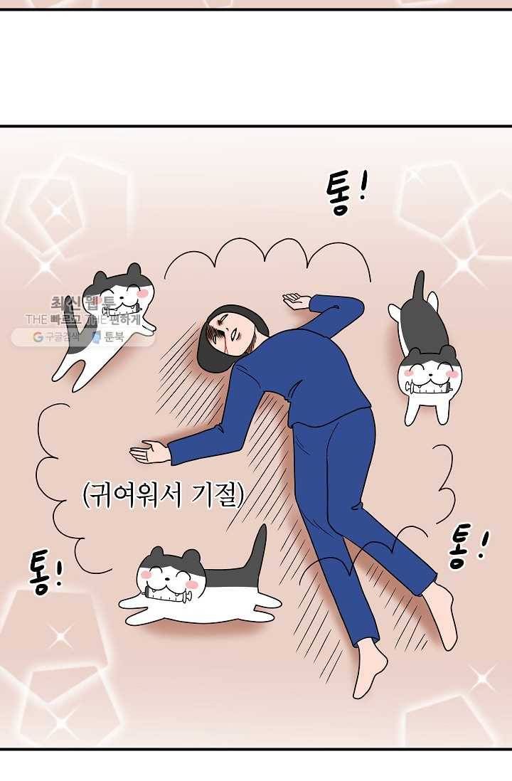 넘 많은 고양! 054화 6
