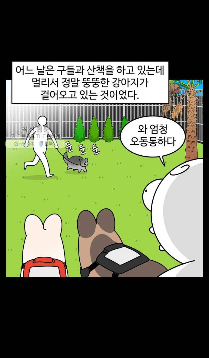 노곤하개 시즌4 36화 ??? 산책러 4