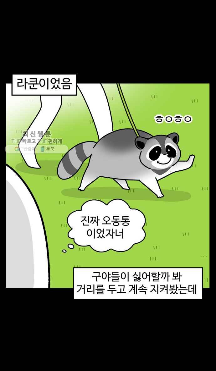 노곤하개 시즌4 36화 ??? 산책러 5