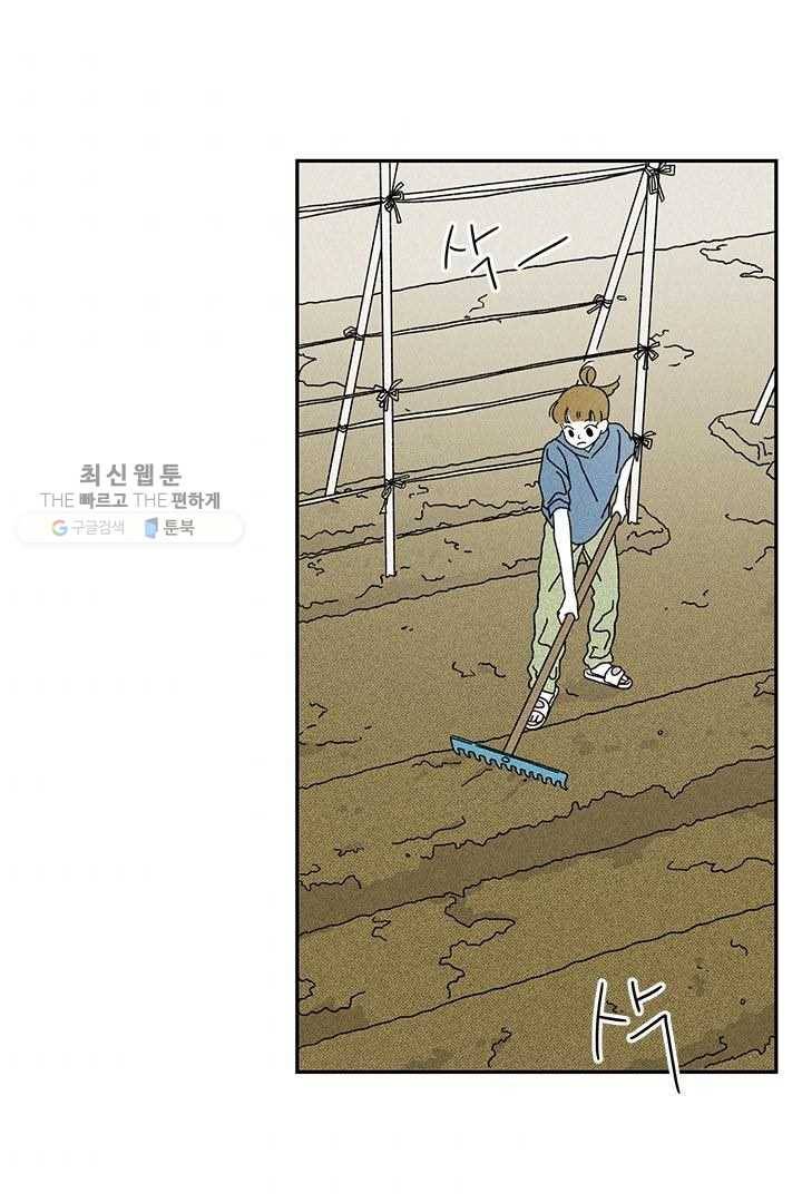 밀과 보리가 자란다 14화 43