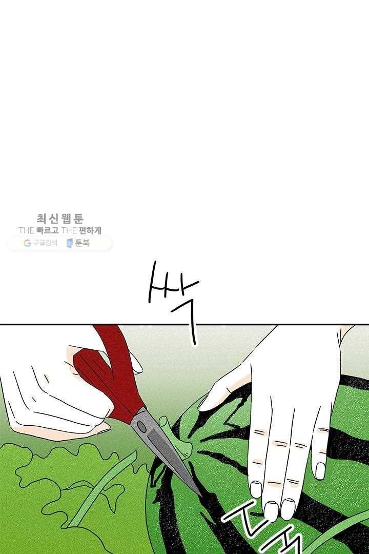 밀과 보리가 자란다 35화 11
