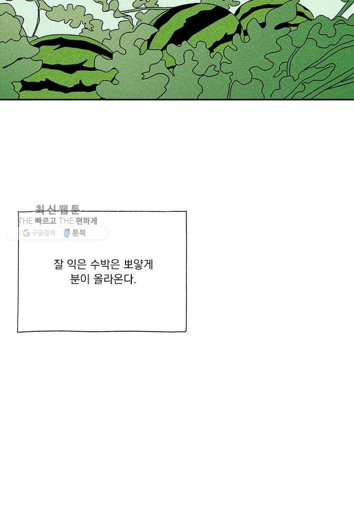 밀과 보리가 자란다 35화 36