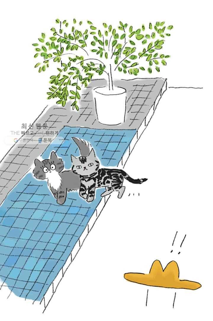 은동은동+옹동스 110화. 사진은 중요하다 4