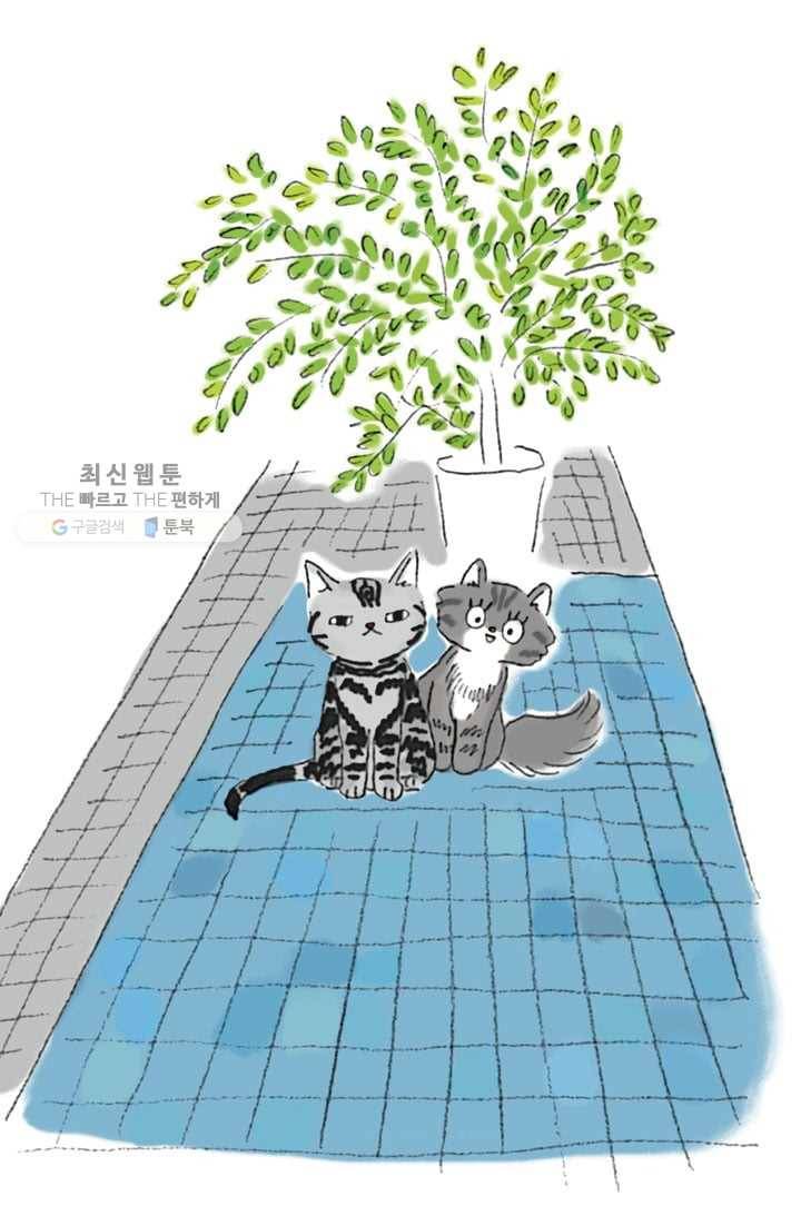 은동은동+옹동스 110화. 사진은 중요하다 5